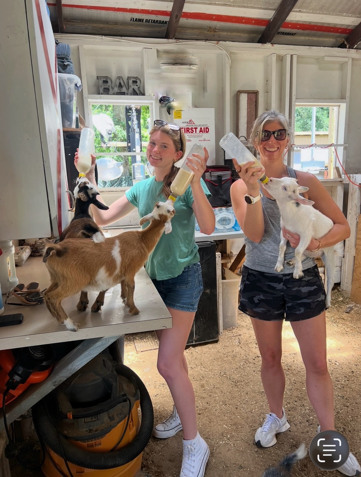 Two guests bottle-feeding baby goats